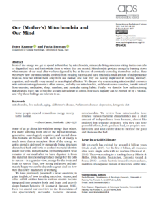 Läs mer om artikeln Our (Mother’s) Mitochondria and Our Mind